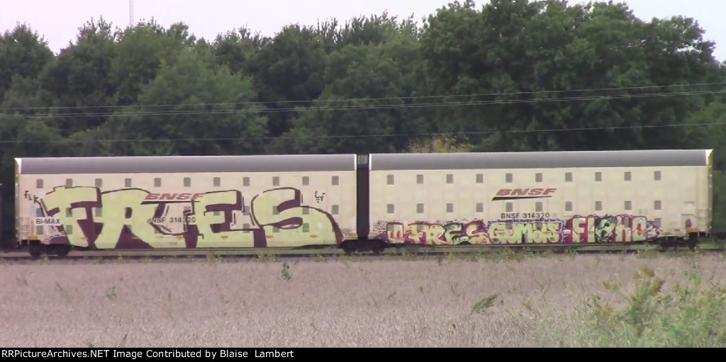 BNSF auotrack cars bound for storage